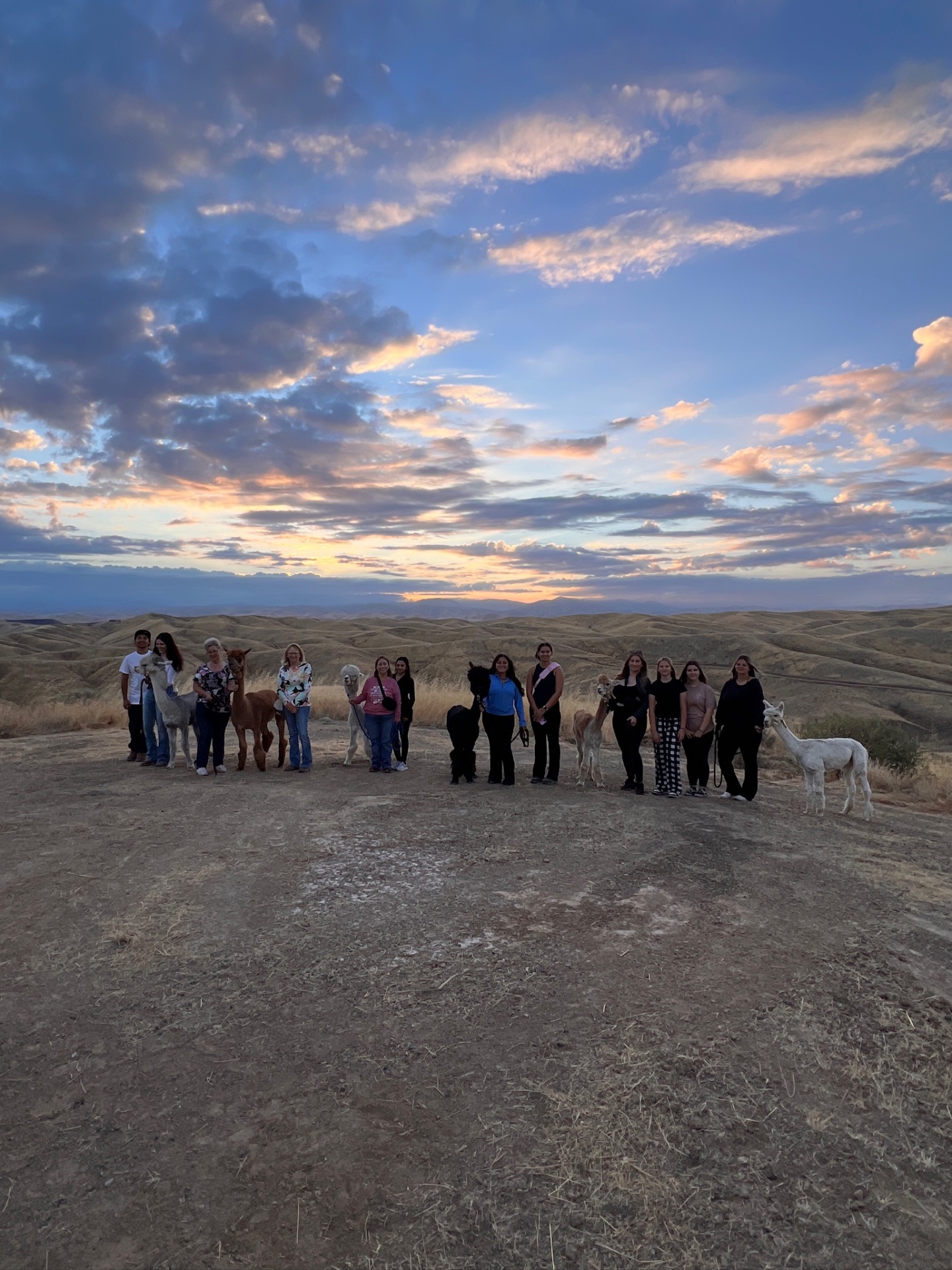 Golden hour with the group